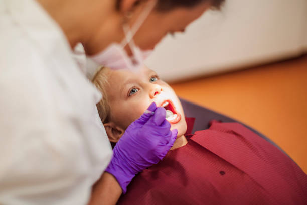 Best Emergency Dental Services for Seniors in Shields, MI